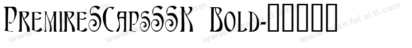 PremireSCapsSSK Bold字体转换